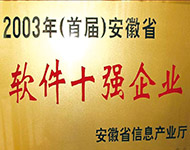 軟件十強企業